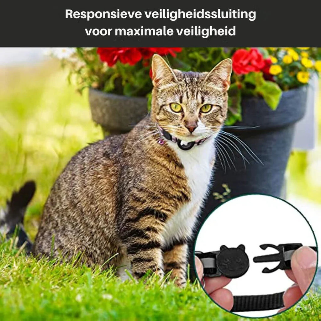GPS Tracking Collar for Cats with Quick-Release Fastener and Enhanced Nighttime Visibility Design