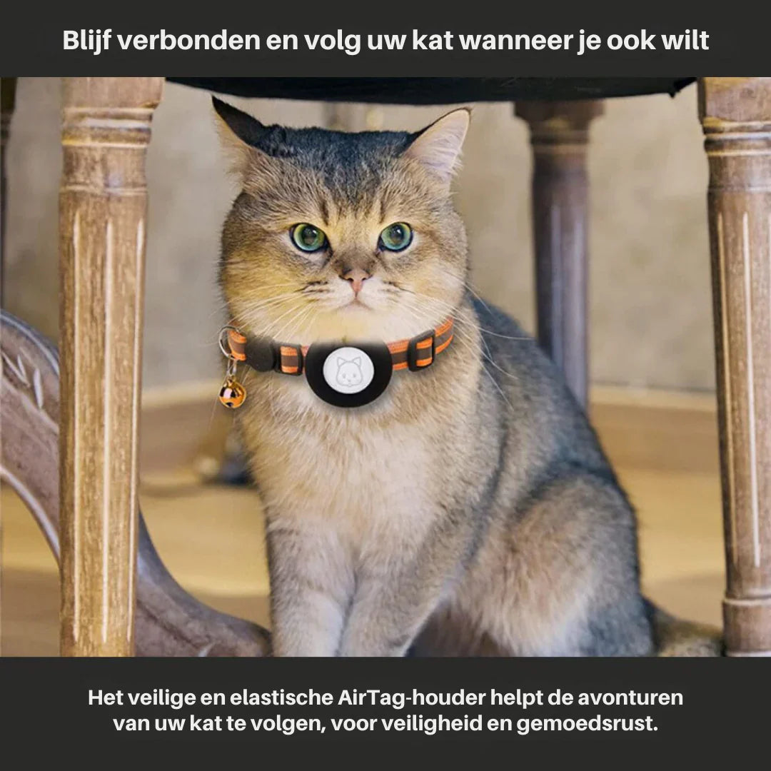 GPS Tracking Collar for Cats with Quick-Release Fastener and Enhanced Nighttime Visibility Design