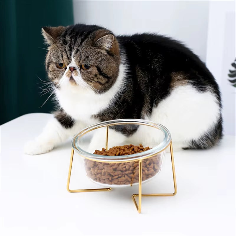 New Non-Slip Cat Bowls Glasses Single Bowls with Gold Stand Pet Food&Water Bowls for Cats Dogs Feeders Pet Products Cat Bowl