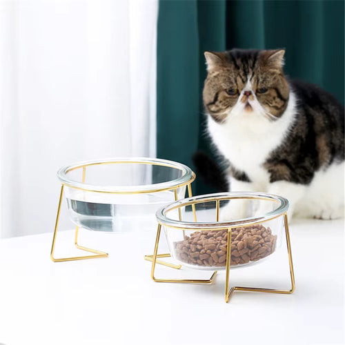 New Non-Slip Cat Bowls Glasses Single Bowls with Gold Stand Pet Food&Water Bowls for Cats Dogs Feeders Pet Products Cat Bowl