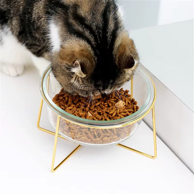 New Non-Slip Cat Bowls Glasses Single Bowls with Gold Stand Pet Food&Water Bowls for Cats Dogs Feeders Pet Products Cat Bowl